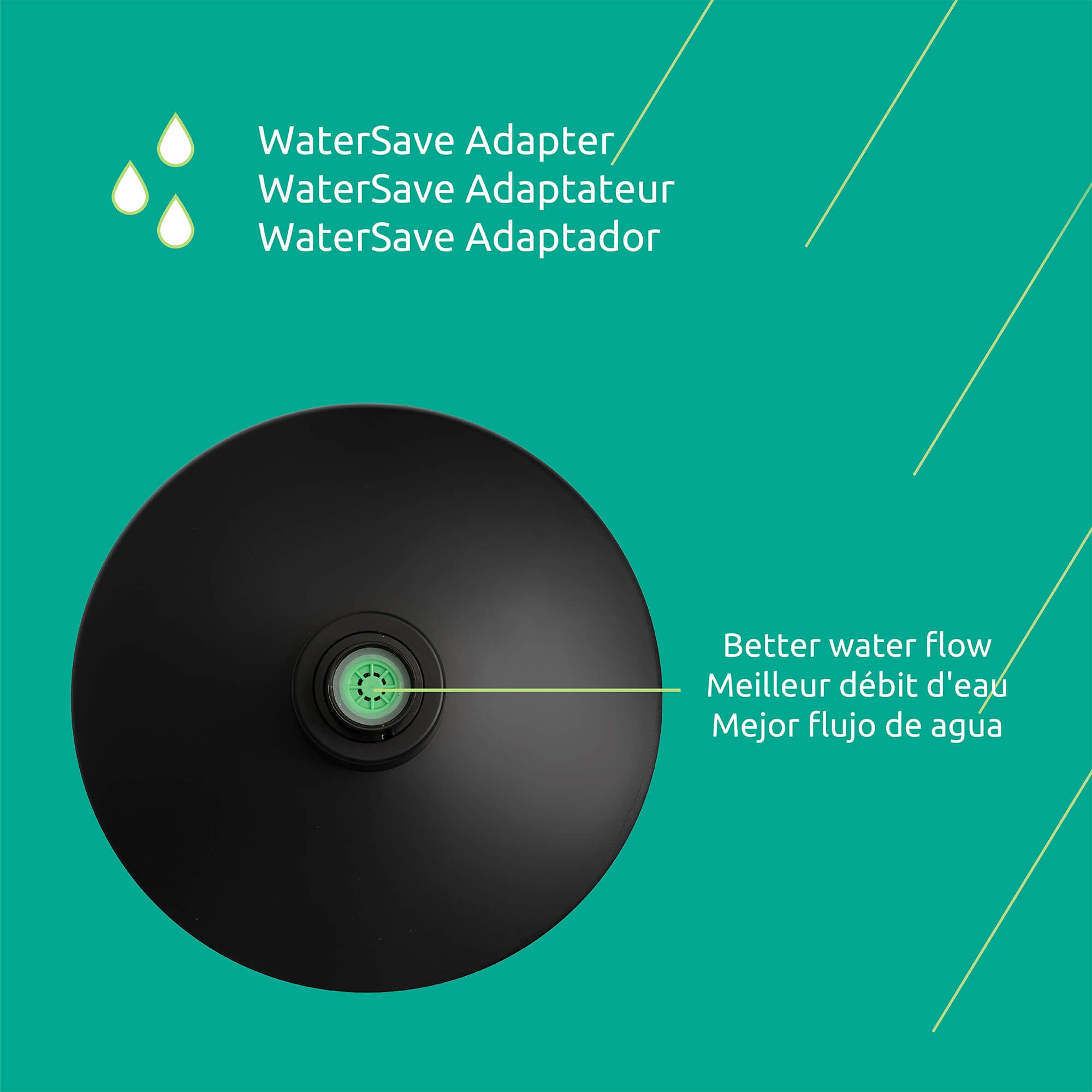 Montana Showerhead 1-Function