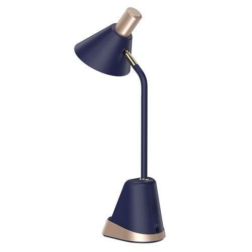 LED Desk Lamp