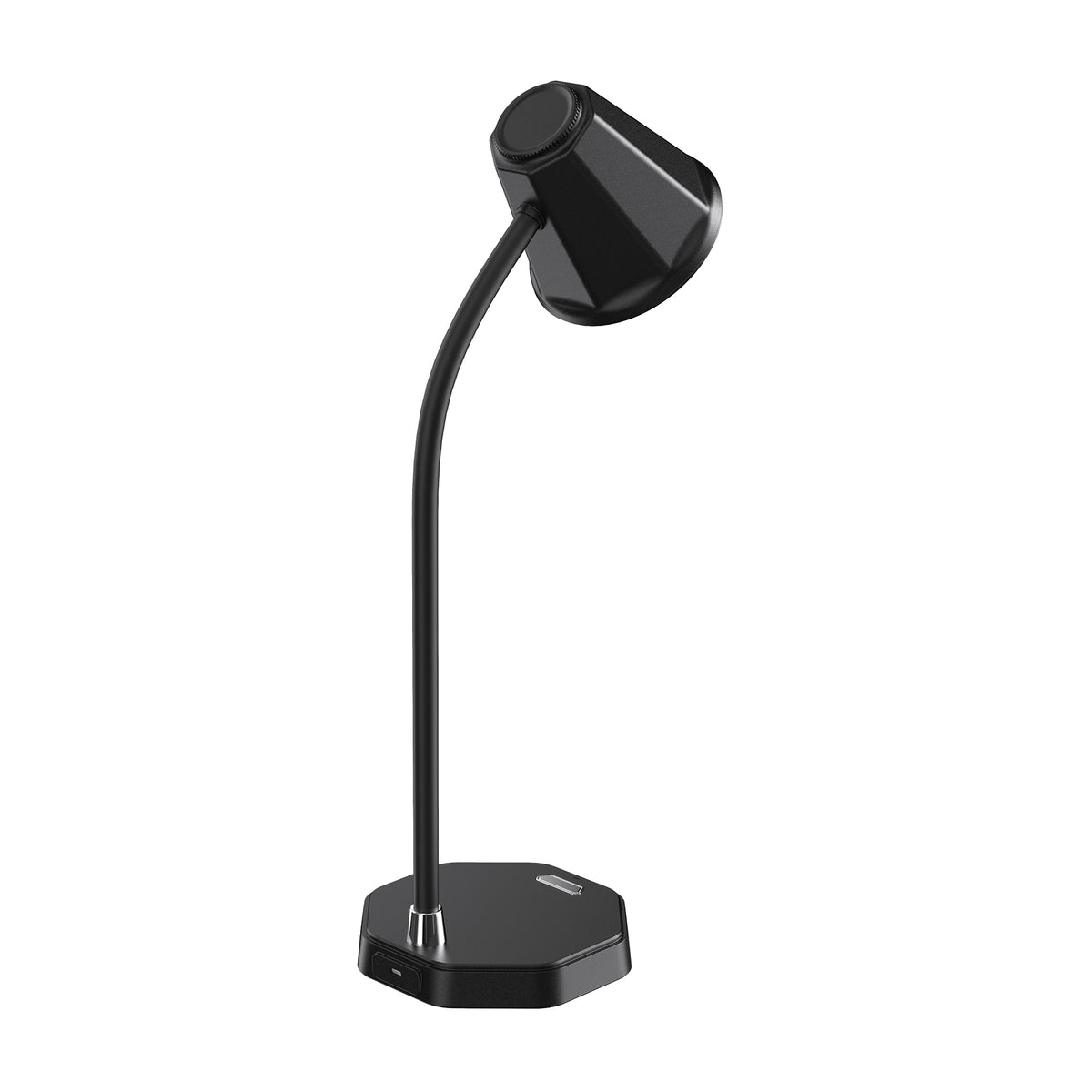 Casper Gooseneck Desk Lamp